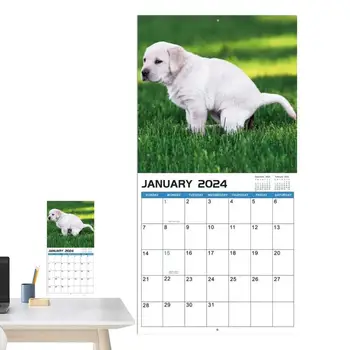 Календар с какающими кучета Стенен календар с какающими кучета в красиви места От януари до декември 2024 2024 г. Календар със забавни кучета Подаръци-сутиен