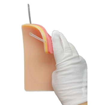 Практика в обучението на интравенозни инъекциям, сложи шевове на пробиви, на практика тренировка на модели на кожата, за да изчезнат